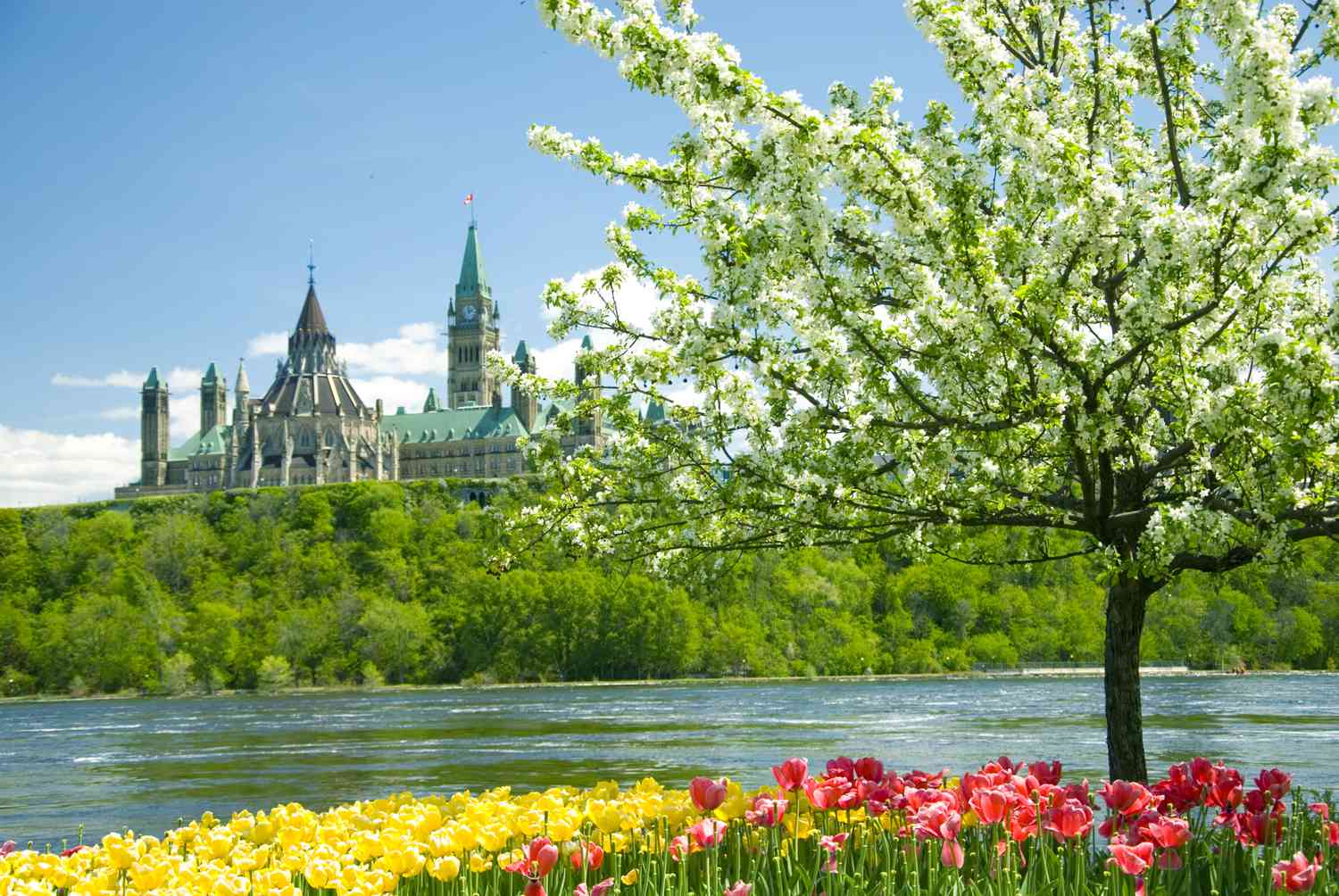 Spring 2025 in Canada: Top Festivals & Must-See Events